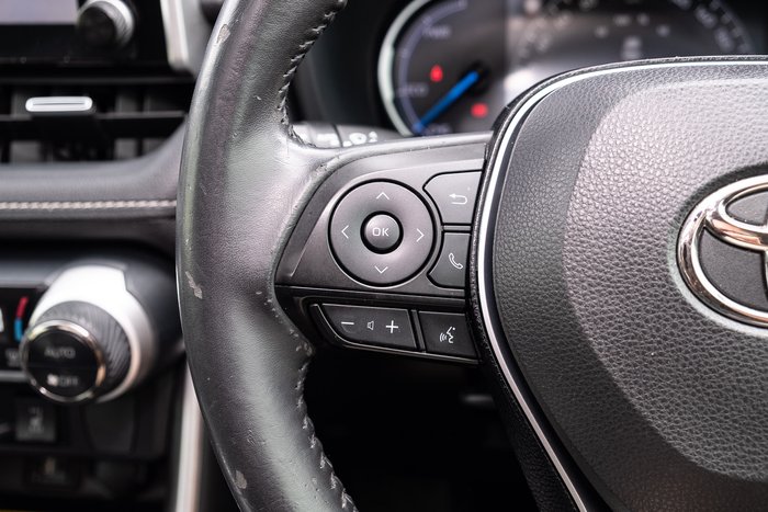 2019 Toyota RAV4 Cruiser