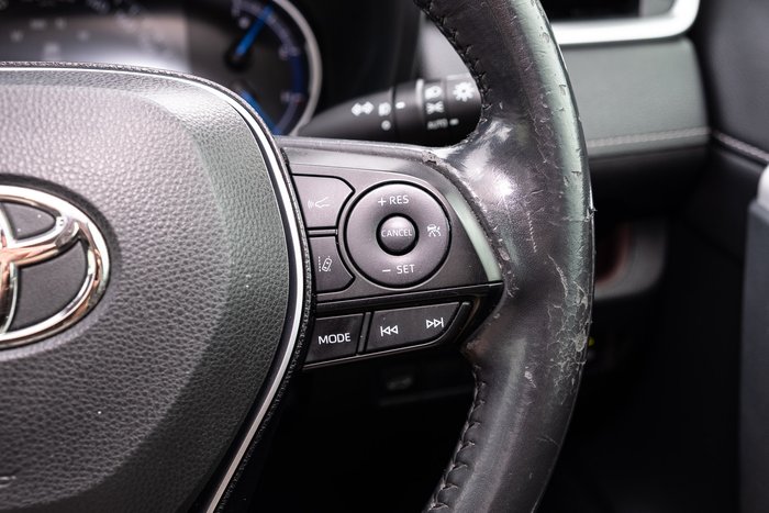 2019 Toyota RAV4 Cruiser