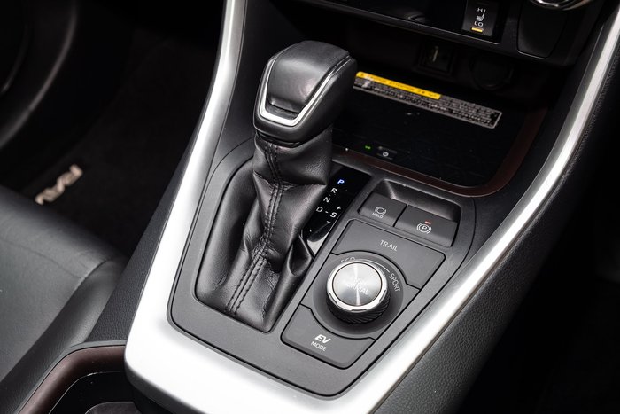 2019 Toyota RAV4 Cruiser