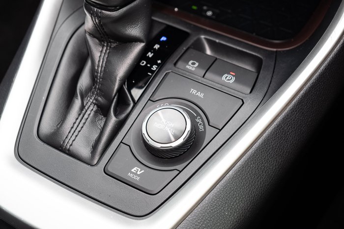 2019 Toyota RAV4 Cruiser