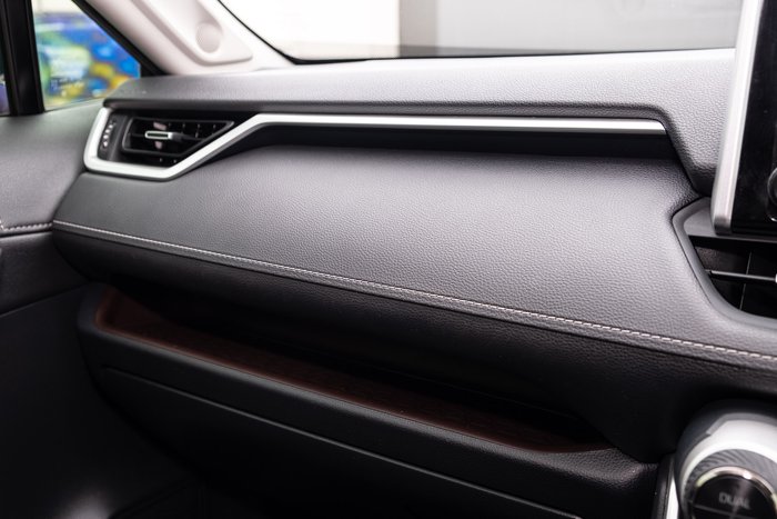 2019 Toyota RAV4 Cruiser