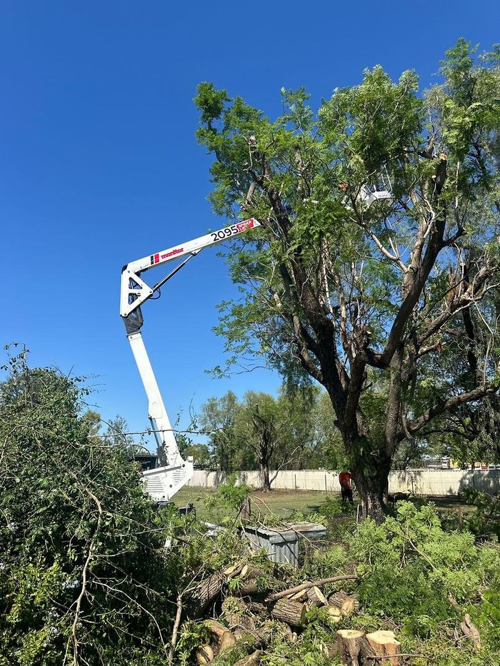 2022 Monitor 2095 Spider Lift
