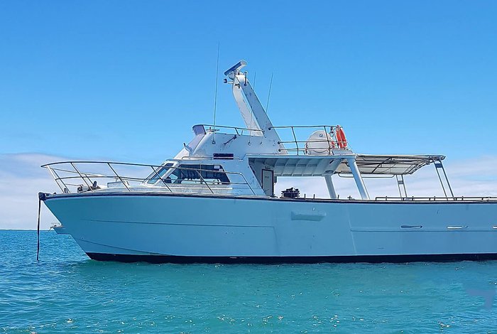 1981 COMMERCIAL CHARTER