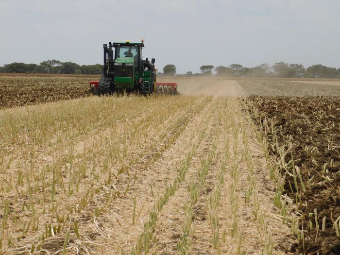 0 TATU GAPCR HD 8013 RIGID 37 PLATE OFFSET DISC NEW RED