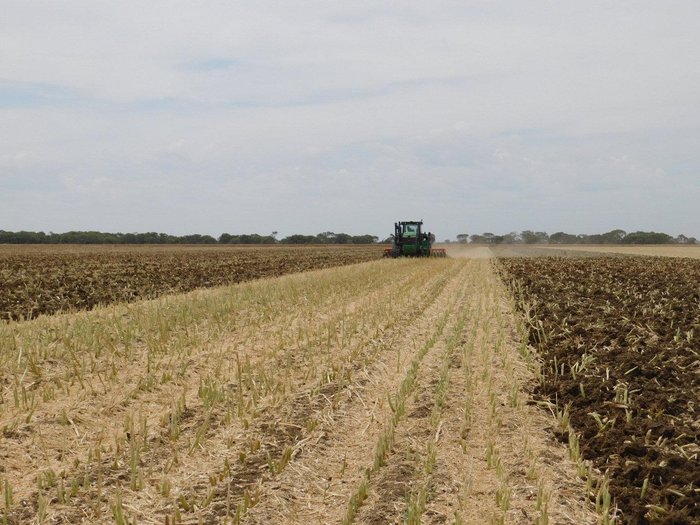 0 TATU GAPCR HD 8013 RIGID 37 PLATE OFFSET DISC NEW RED