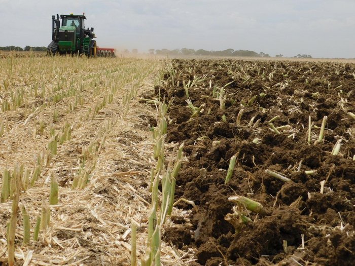 0 Tatu Gapcr Hd 8013 Rigid 37 Plate Offset Disc New RED