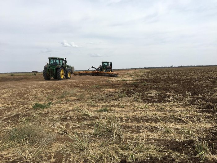 0 TATU GAPCR HD 8013 RIGID 37 PLATE OFFSET DISC NEW RED