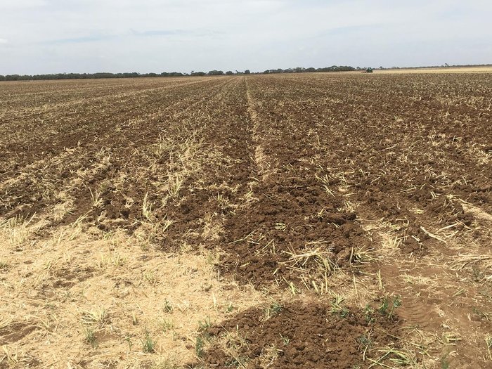 0 TATU GAPCR HD 8013 RIGID 37 PLATE OFFSET DISC NEW RED