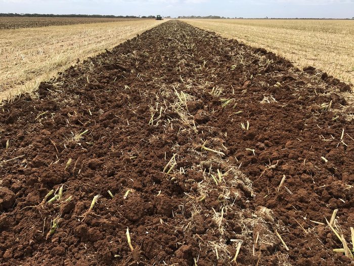 0 Tatu Gapcr Hd 8013 Rigid 37 Plate Offset Disc New RED