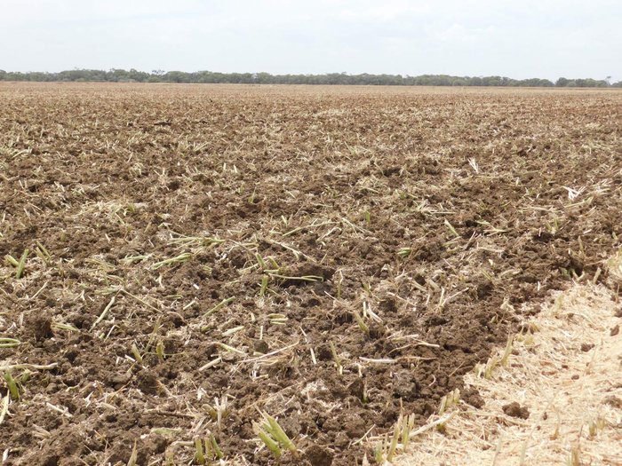 0 Tatu Gapcr Hd 8013 Rigid 37 Plate Offset Disc New RED