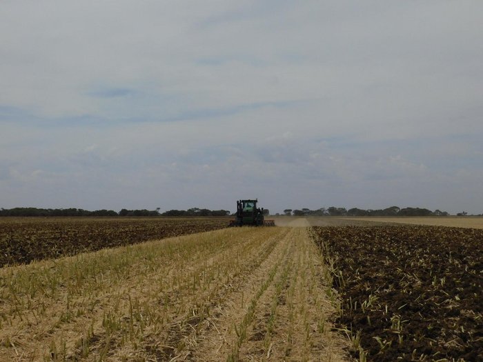 0 TATU GAPCR HD 8013 RIGID 37 PLATE OFFSET DISC NEW RED