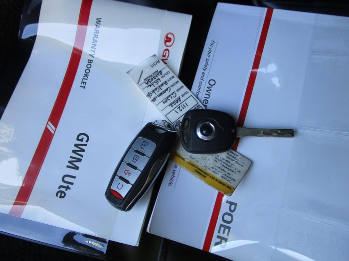 2022 GWM Ute Cannon-L CC