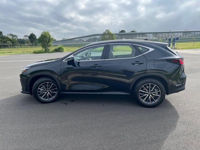 2024 Lexus NX 350h Luxury