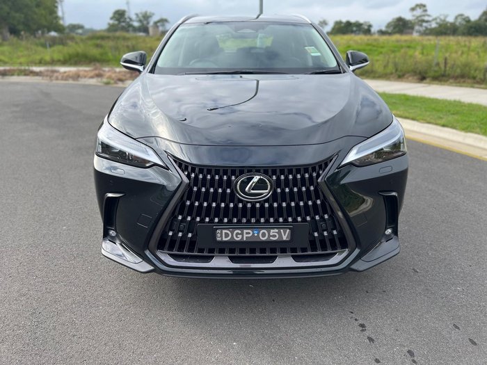 2024 Lexus NX 350h Luxury