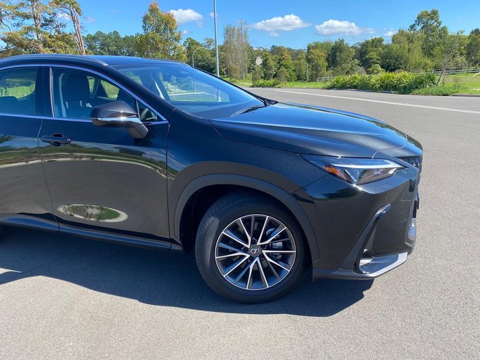 2024 Lexus NX 350h Luxury