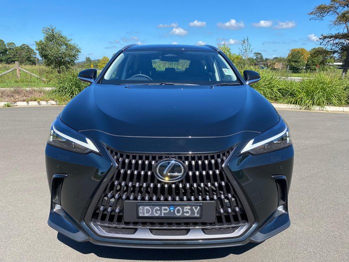 2024 Lexus NX 350h Luxury