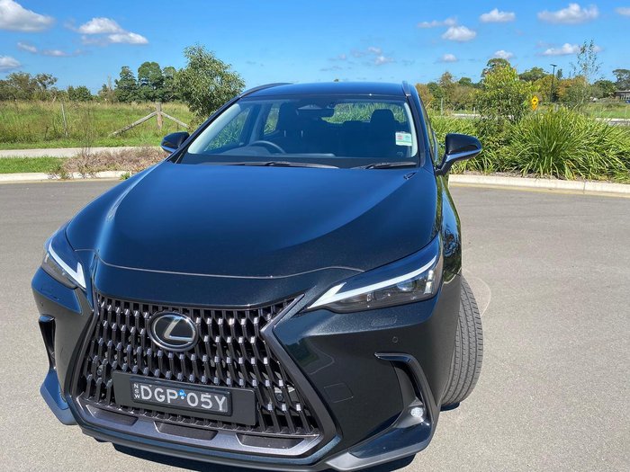 2024 Lexus NX 350h Luxury