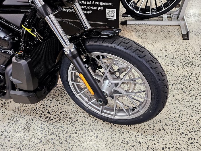 2025 Harley-Davidson Nightster (RH975) Sportster