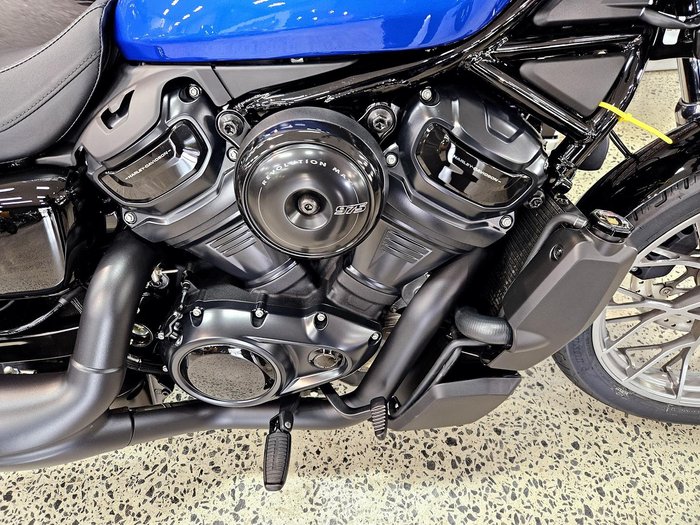 2025 Harley-Davidson Nightster (RH975) Sportster