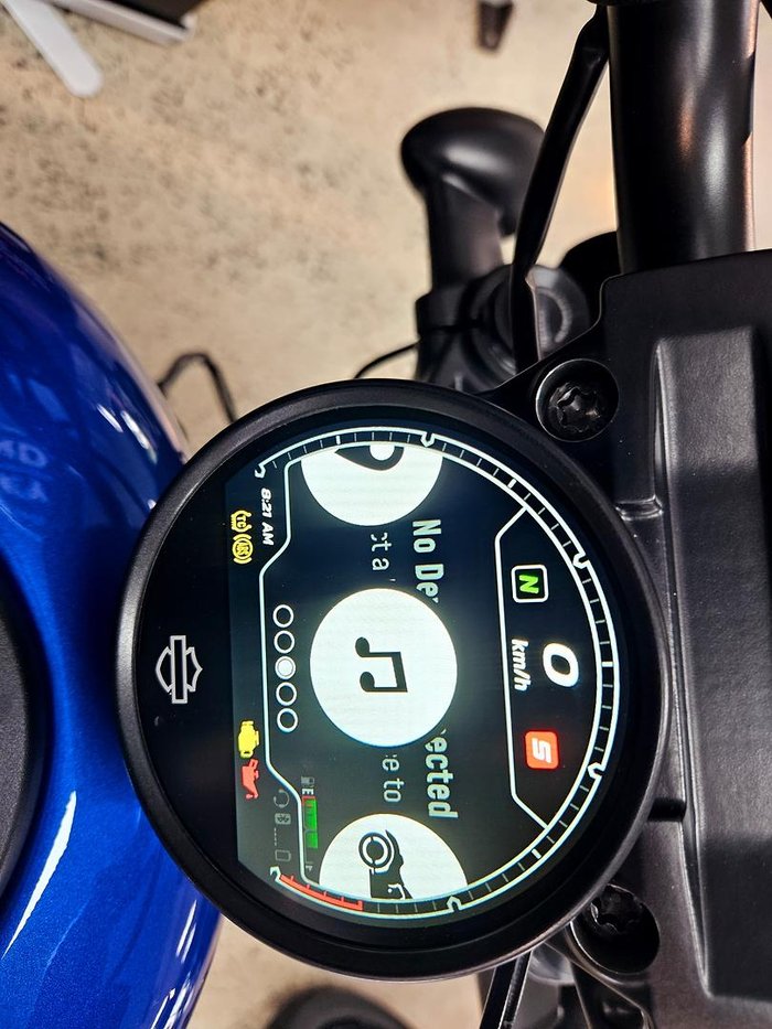2025 Harley-Davidson Nightster (RH975) Sportster
