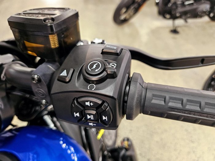 2025 Harley-Davidson Nightster (RH975) Sportster