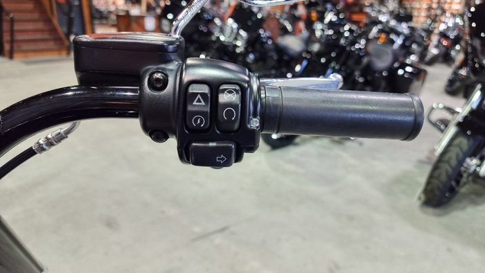 2020 Harley-davidson FLSL SOFTAIL SLIM (107) Black