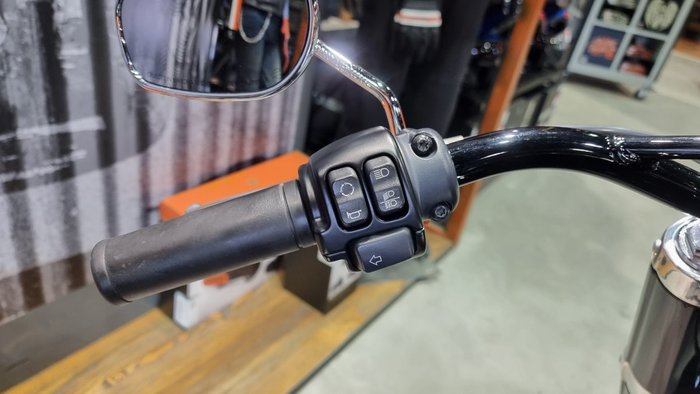 2020 Harley-davidson FLSL SOFTAIL SLIM (107) Black