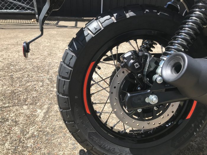 2025 Royal Enfield 2025 ROYAL ENFIELD 650CC INTERCEPTOR BEAR 650