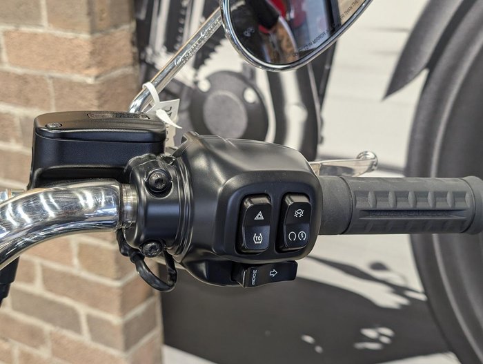 2025 Harley-Davidson Fat Boy 117 (FLFB) Softail Black