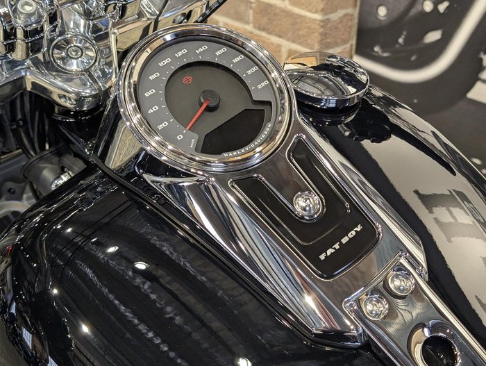 2025 Harley-Davidson Fat Boy 117 (FLFB) Softail Black