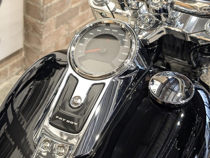 2025 Harley-Davidson Fat Boy 117 (FLFB) Softail Black