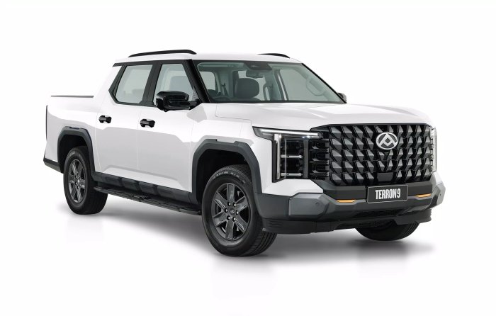 2025 LDV Terron 9 Origin EKK1C WHITE