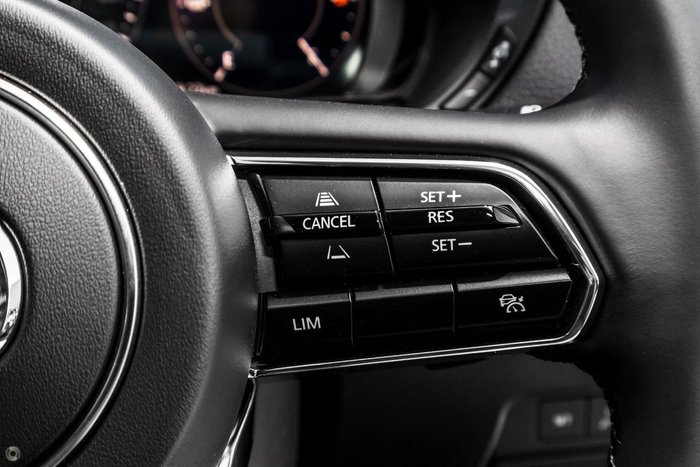 2025 Mazda CX-80 P50e GT