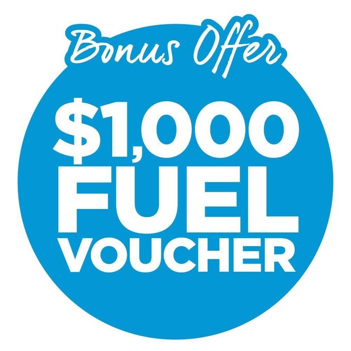 2024 Adria Action 361 Lt