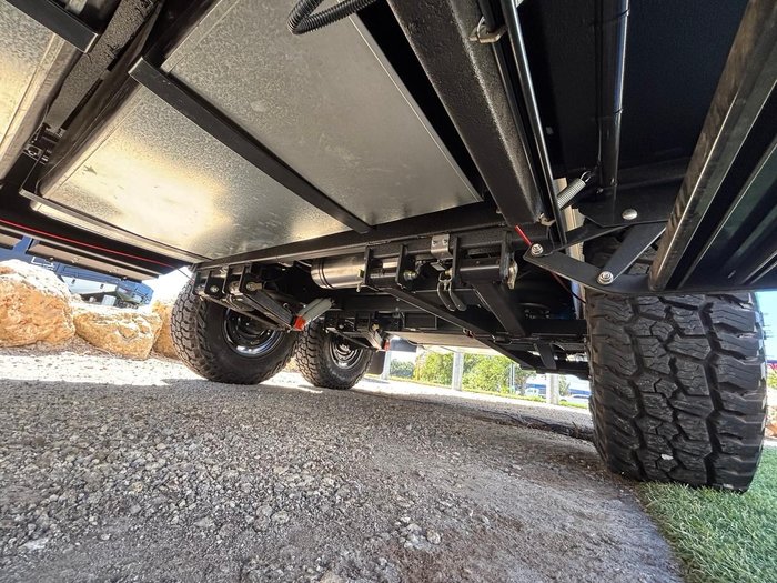 2025 Royal Flair Aussiemate