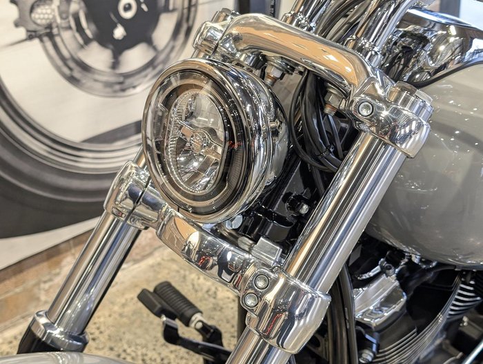 2025 Harley-Davidson Breakout 117 (FXBR) Softail