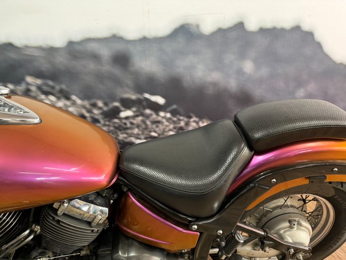 2001 Yamaha XVS650A V-STAR CLASSIC CHAMELEON