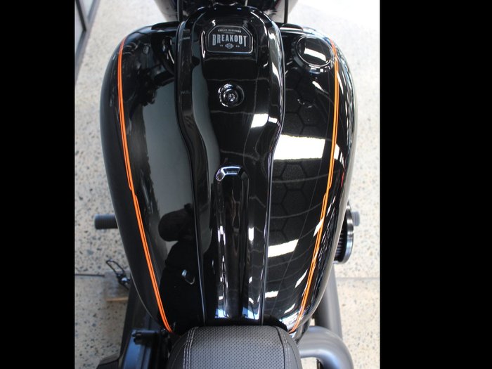 2025 Harley-davidson FXBR BREAKOUT (117) billiard gray