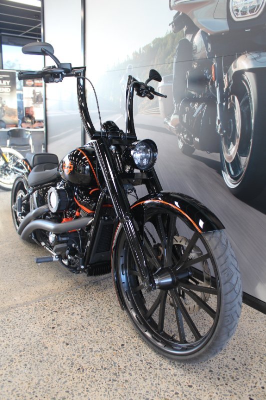 2025 Harley-davidson FXBR BREAKOUT (117) billiard gray