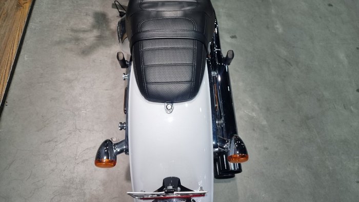 2020 Harley-davidson FXLR LOW RIDER (107) White