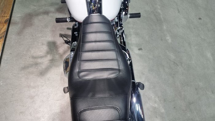 2020 Harley-davidson FXLR LOW RIDER (107) White