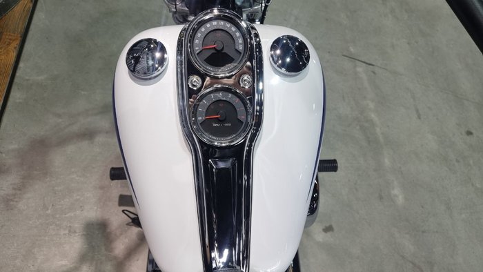 2020 Harley-davidson FXLR LOW RIDER (107) White