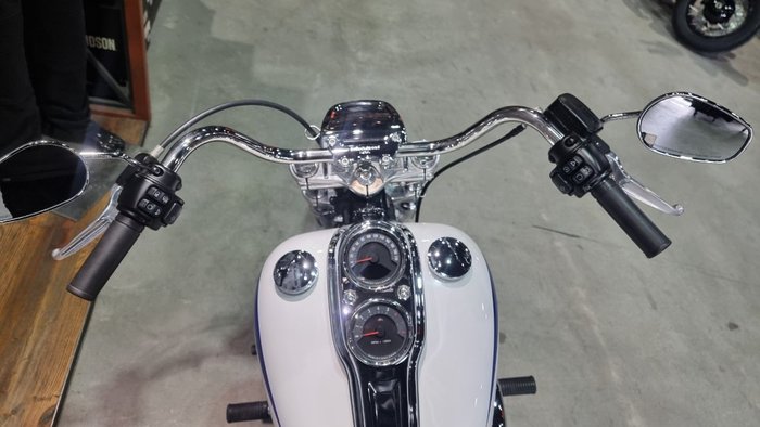 2020 Harley-davidson FXLR LOW RIDER (107) White