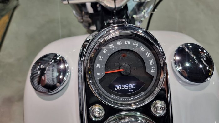 2020 Harley-davidson FXLR LOW RIDER (107) White