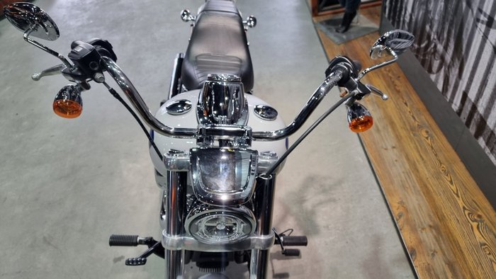 2020 Harley-davidson FXLR LOW RIDER (107) White