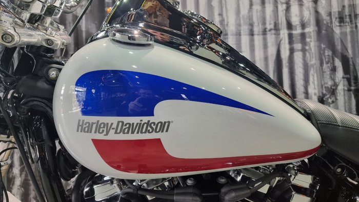 2020 Harley-davidson FXLR LOW RIDER (107) White