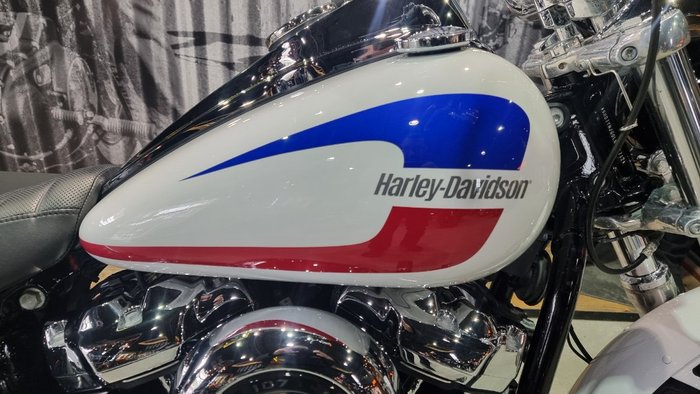 2020 Harley-davidson FXLR LOW RIDER (107) White