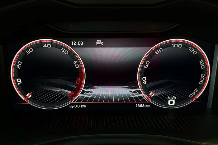 2025 SKODA Kamiq 110TSI Monte Carlo