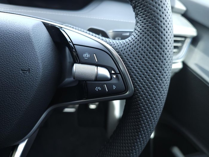 2025 SKODA Enyaq RS NY MY25 AWD Graphite Grey