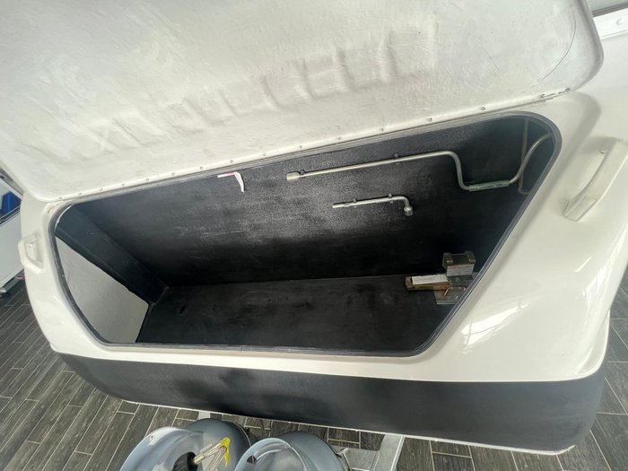 2025 Avan Cruiseliner 1D